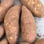 Fresh Sand-Grown Sweet Potatoes 4.5kg – Naturally Sweet, Soft, Creamy & Chestnut-Like