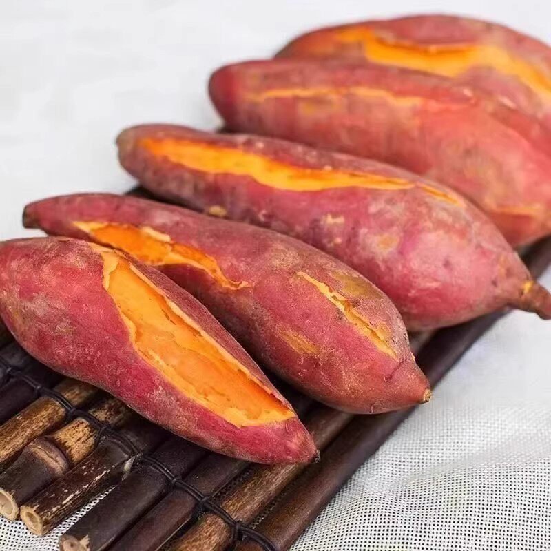 Fresh Sand-Grown Sweet Potatoes 4.5kg – Naturally Sweet, Soft, Creamy & Chestnut-Like